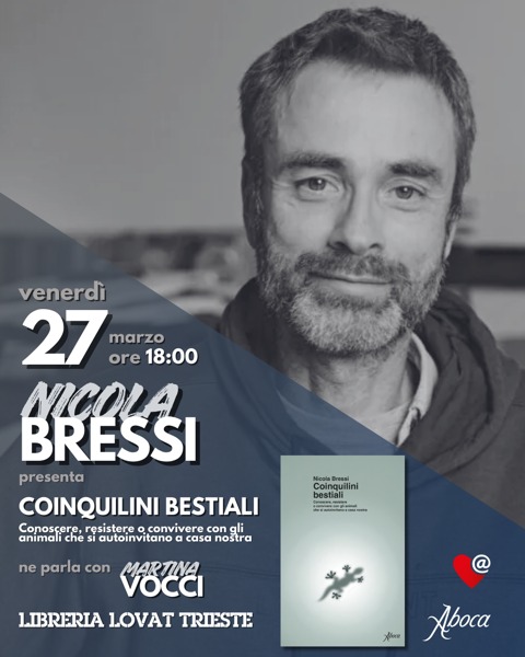 Nicola Bressi tweet media