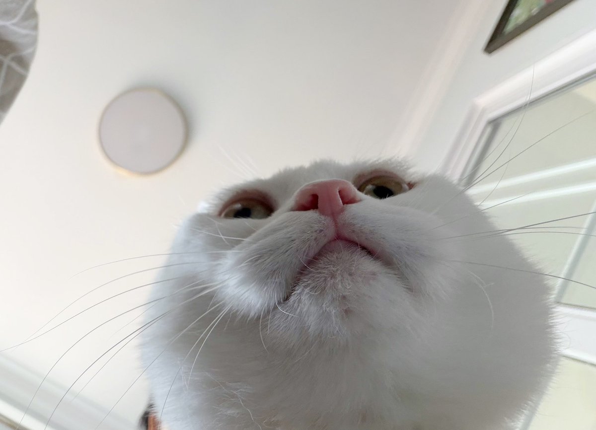 冰比冰水冰 tweet media