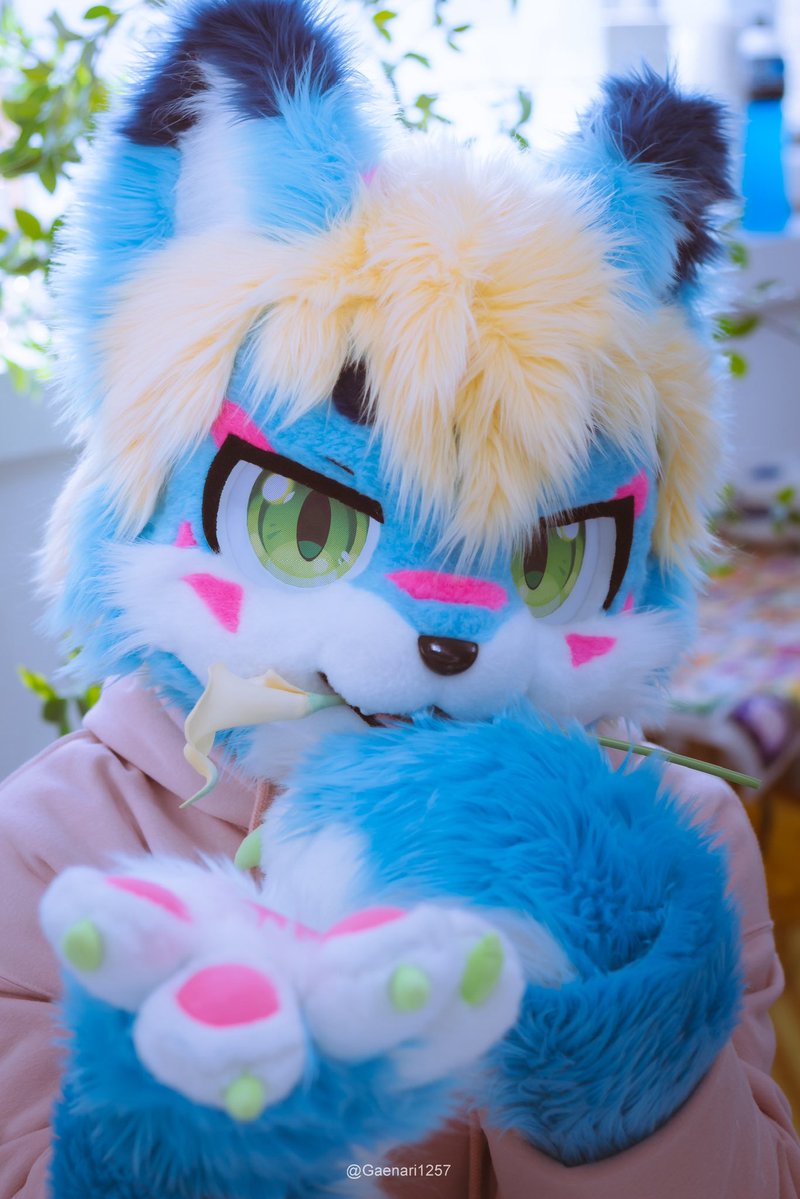 阿鲁🐺 tweet media