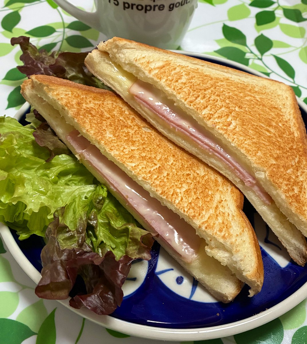 カラス（4/5メガ恋26：か40） tweet media