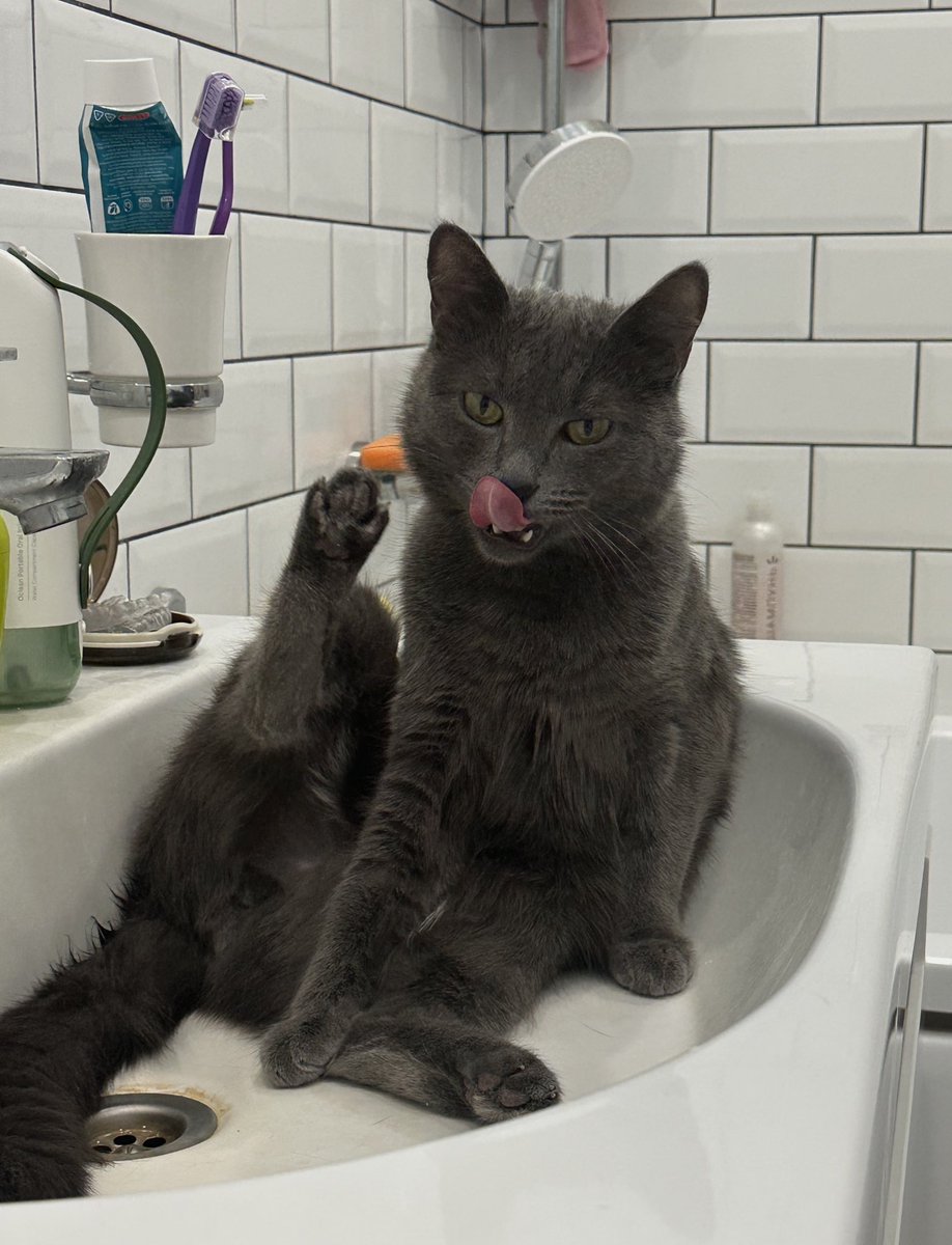 Murmuriel tweet media