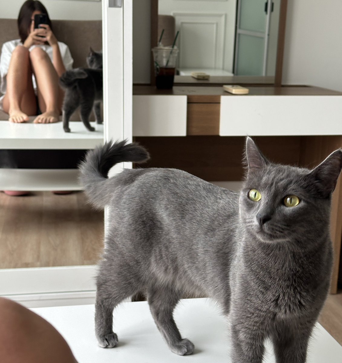 Murmuriel tweet media