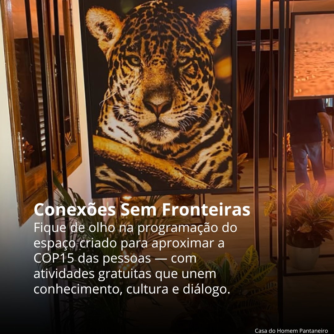 Programa da ONU para o Meio Ambiente tweet media