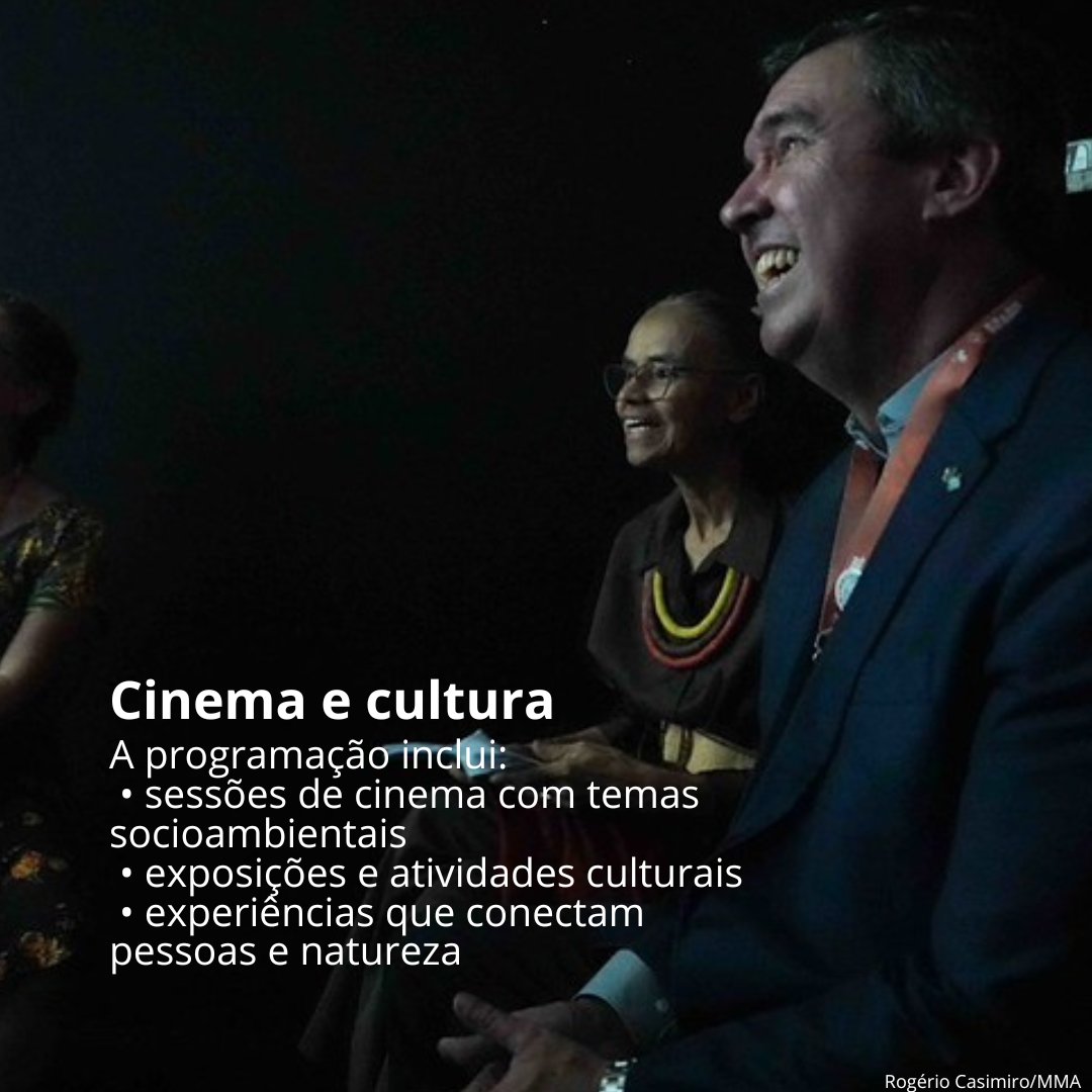 Programa da ONU para o Meio Ambiente tweet media