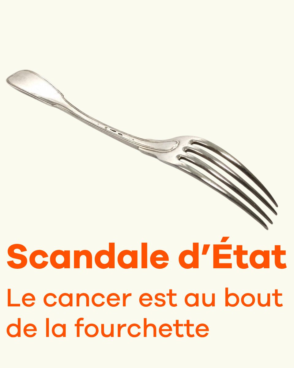 Clémentine Autain tweet media