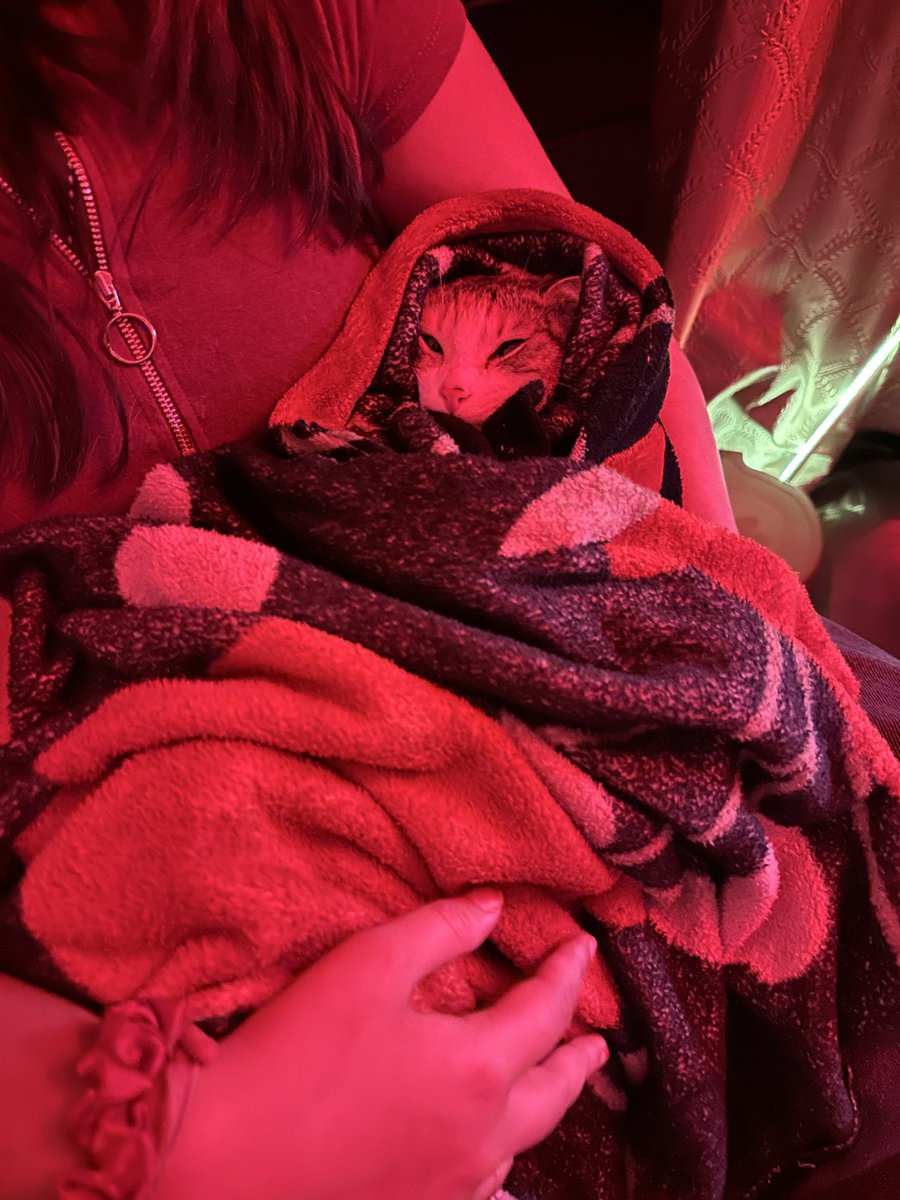 akshay sometimes tweet media