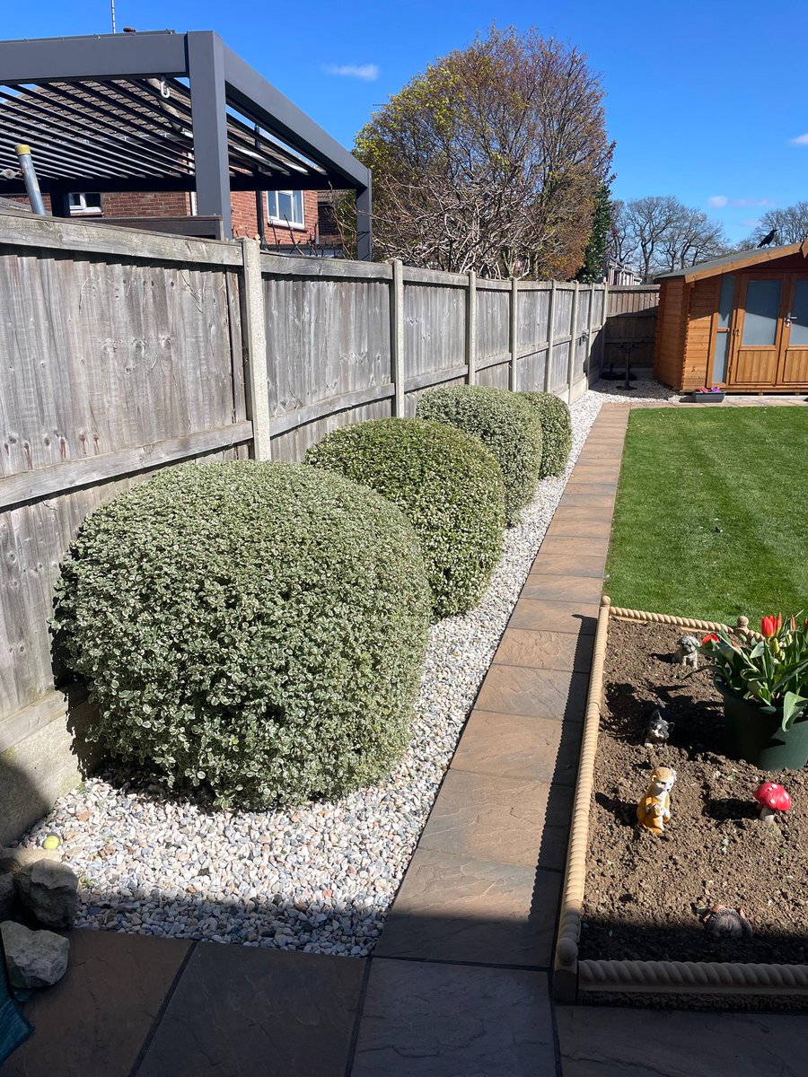 Masons Tree Surgery tweet media