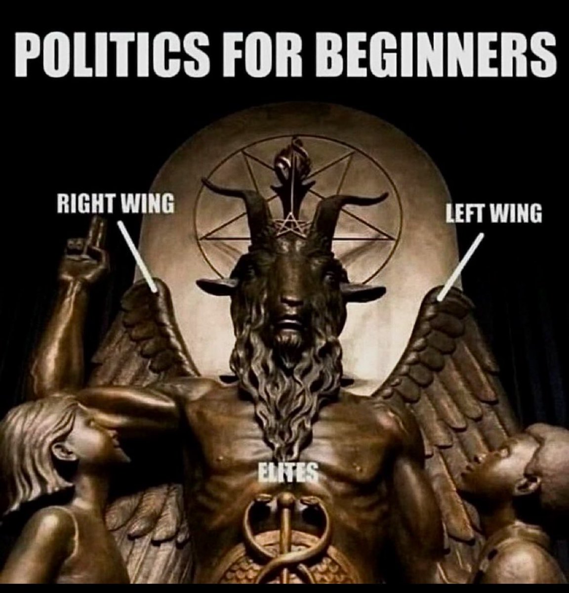 Crystal Fox tweet media