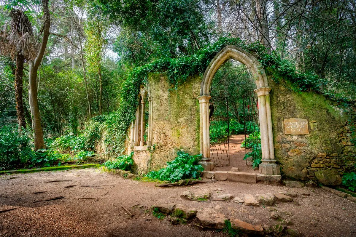 alentejo_1970's tweet image. #Coimbra tem mesmo tudo: o Jardim Botânico da Universidade de Coimbra ou os jardins românticos da Quinta das Lágrimas, que testemunharam o amor eterno de Dom Pedro e Inês de Castro; igrejas imponentes; museus fascinantes; cafés históricos.