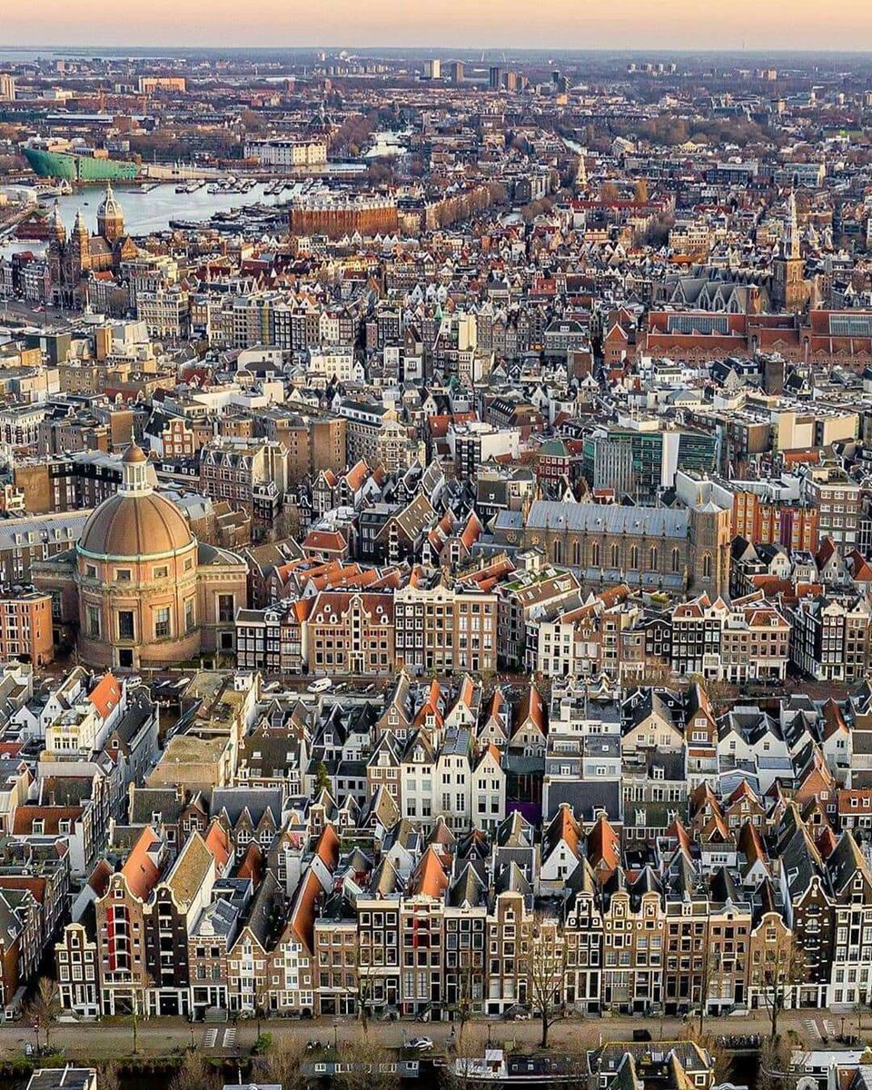 City Aesthetics ⛩ tweet media