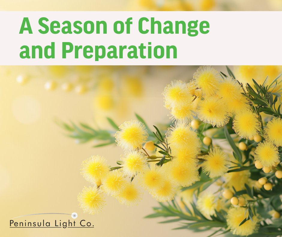 Peninsula Light Co. tweet media