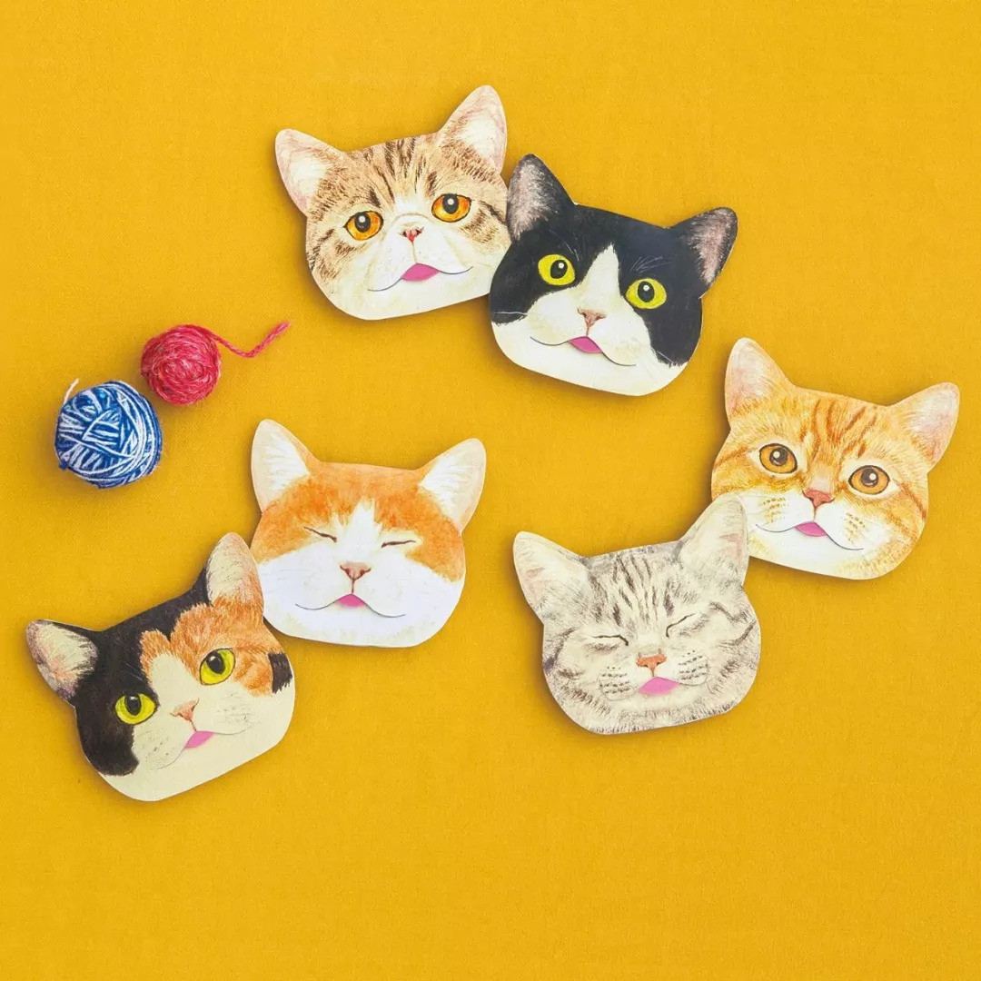 Niamh Kendrew tweet media