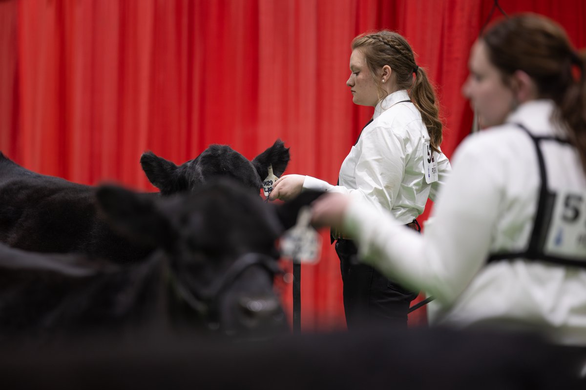 South Dakota State University tweet media