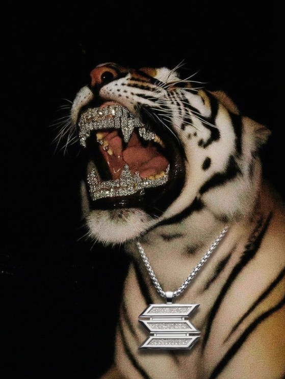 Luminaries tweet media