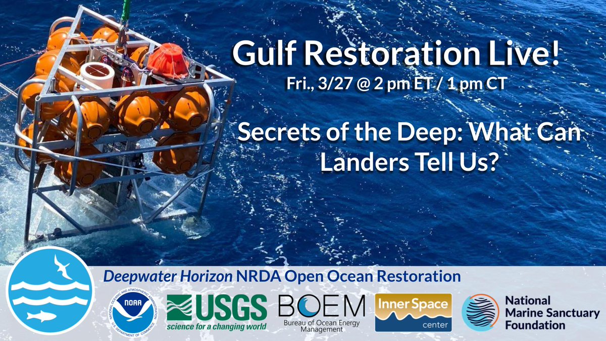 NOAA Ocean Exploration tweet media