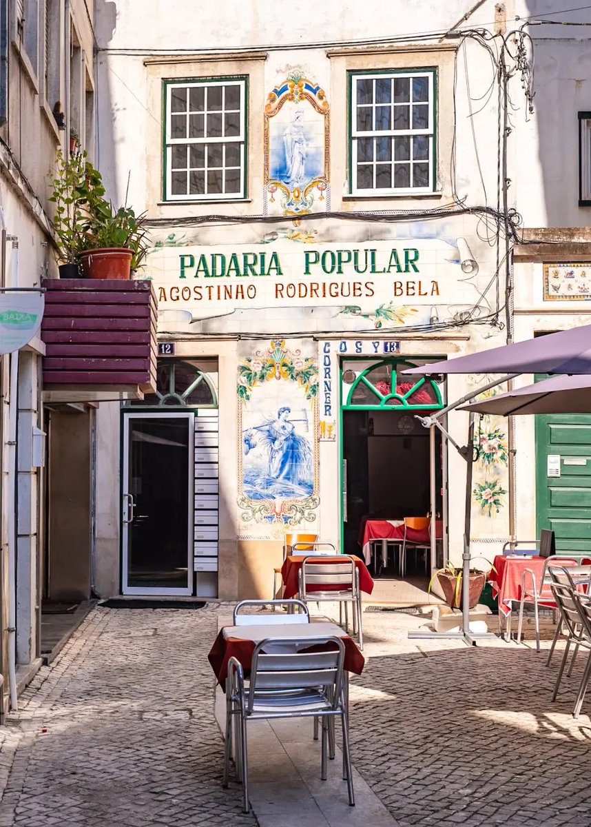 alentejo_1970's tweet image. #Coimbra tem mesmo tudo: o Jardim Botânico da Universidade de Coimbra ou os jardins românticos da Quinta das Lágrimas, que testemunharam o amor eterno de Dom Pedro e Inês de Castro; igrejas imponentes; museus fascinantes; cafés históricos.