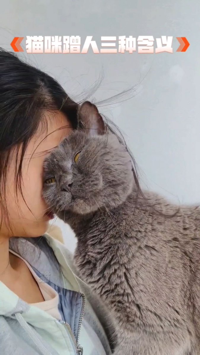 mogal kalesha baig tweet media