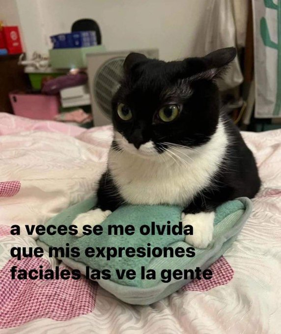 itsD3lay🐧 tweet media