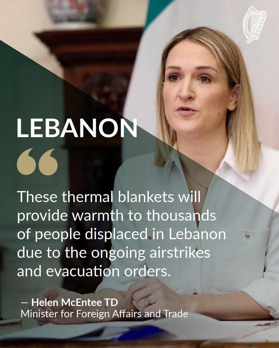 Helen McEntee TD tweet media