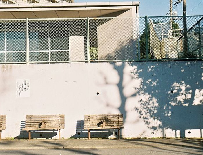 かおり🌙 tweet media