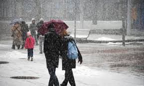 Association Sovereignty tweet media