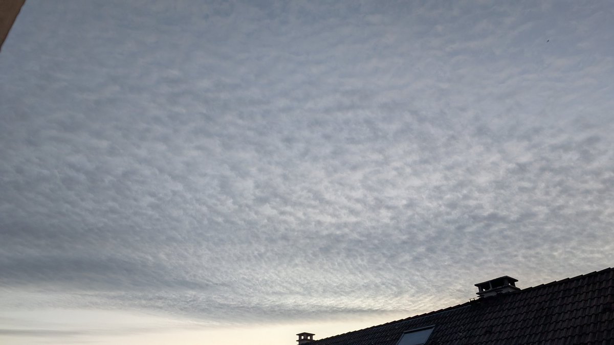 Schniarfeur tweet media