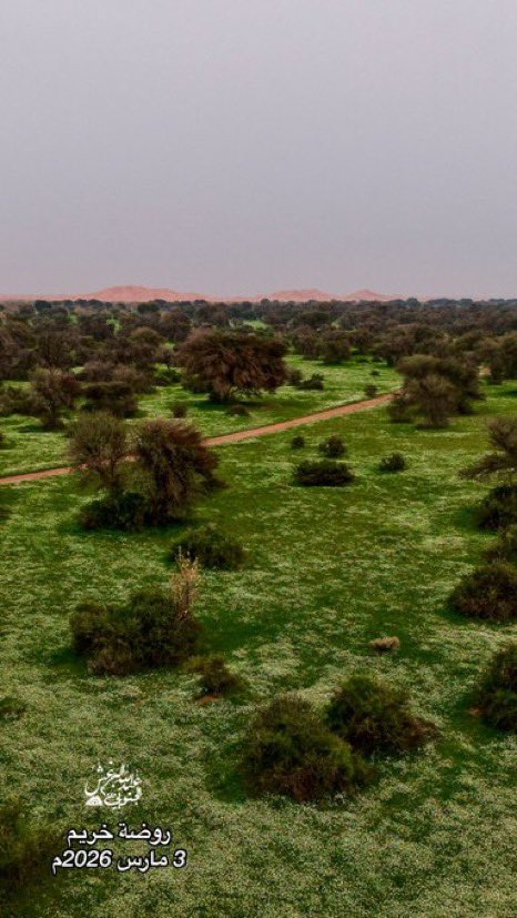 د. محمد العوين tweet media