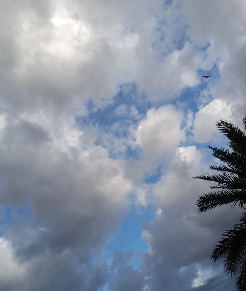 omanih261's tweet photo. "ألا يالله تنصرني بنصرٍ يعقبه تمكين
وأشوف أحلامي بعيني وأقول الله حققها

وأعيش بدنيتي راضي ومتفائل ووضعي زين
وأصلي فرضي بوقته وأقول الله يسرها

وأنا موقن ومتأكد بأن أيامنا بتزين
وأن اللي كفل رزقي ورزق الناس خالقها"

🤲🏻🍂🌧️✨ https://t.co/cXQgaemVMf