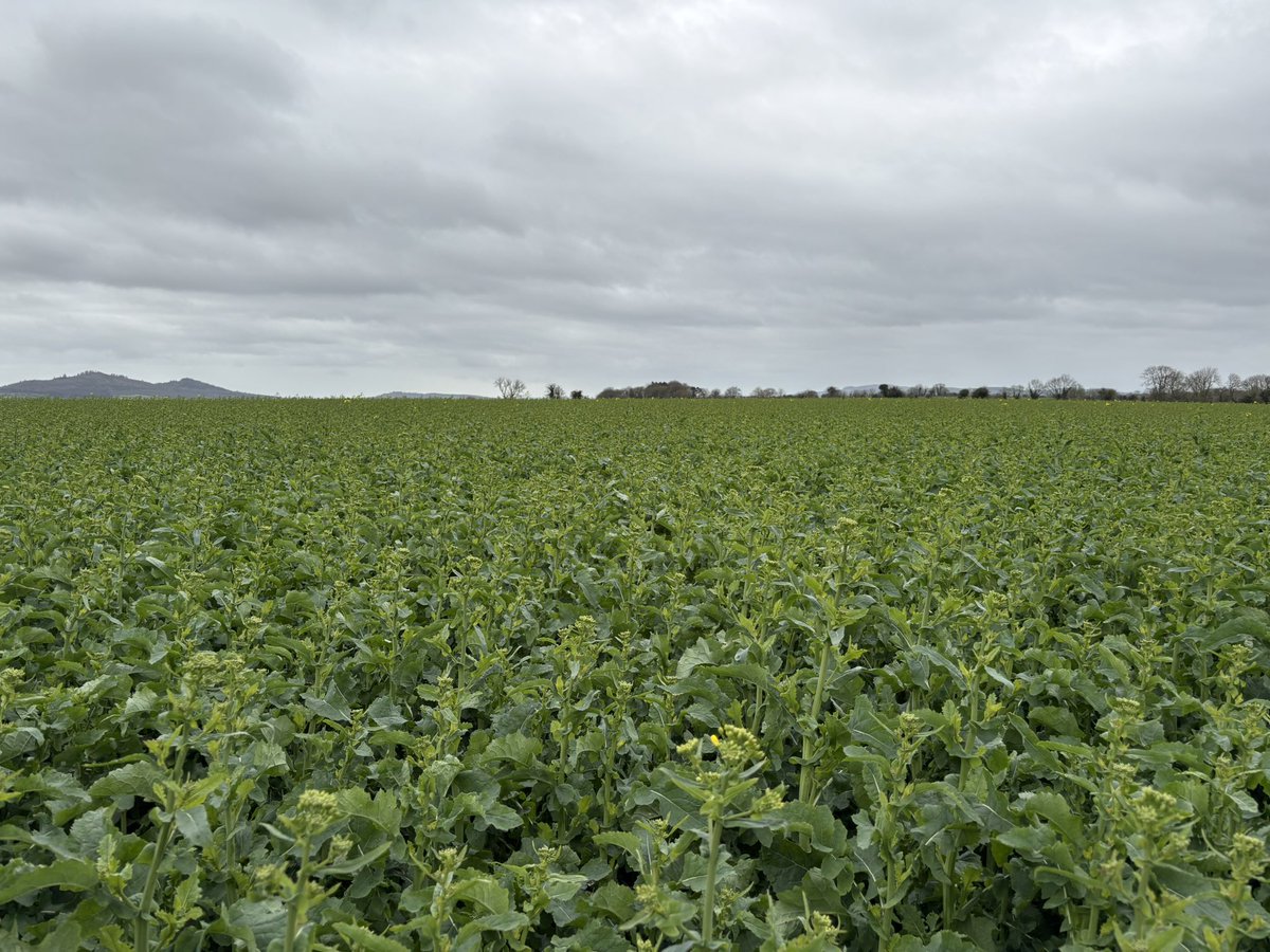 John Dunne tweet media