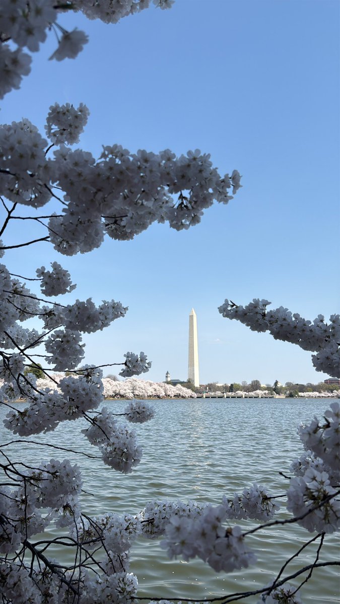 ScottSagala's tweet photo. after DC’s most brutal winter since the 90’s, this feels earned https://t.co/TkJpOE5IAl