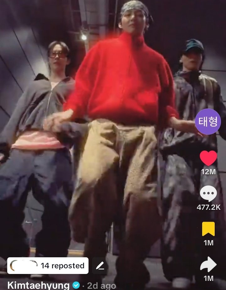 𝗧𝗨𝗟𝗜𝗣 tweet media