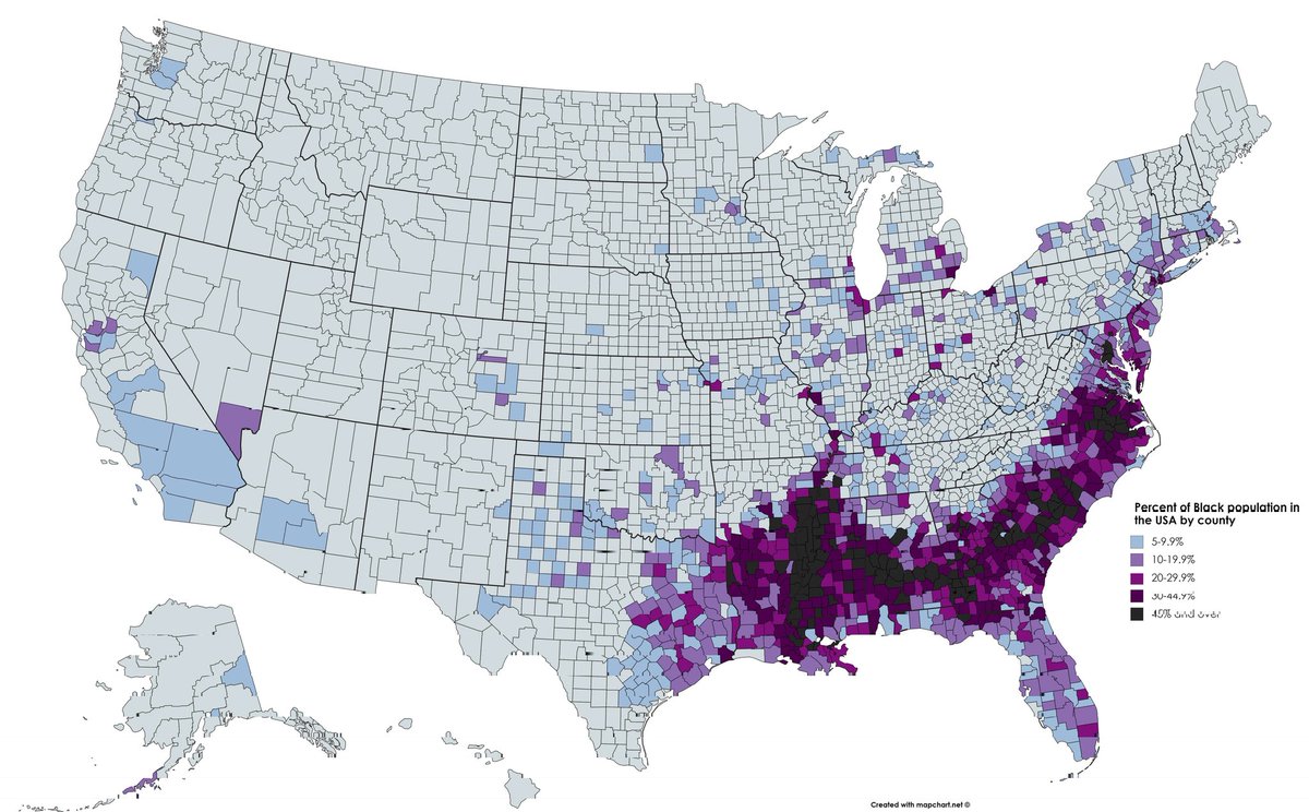 Throne Of Silence 🇺🇲 tweet media