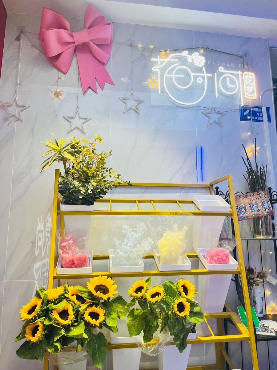 Christina Tracy tweet media