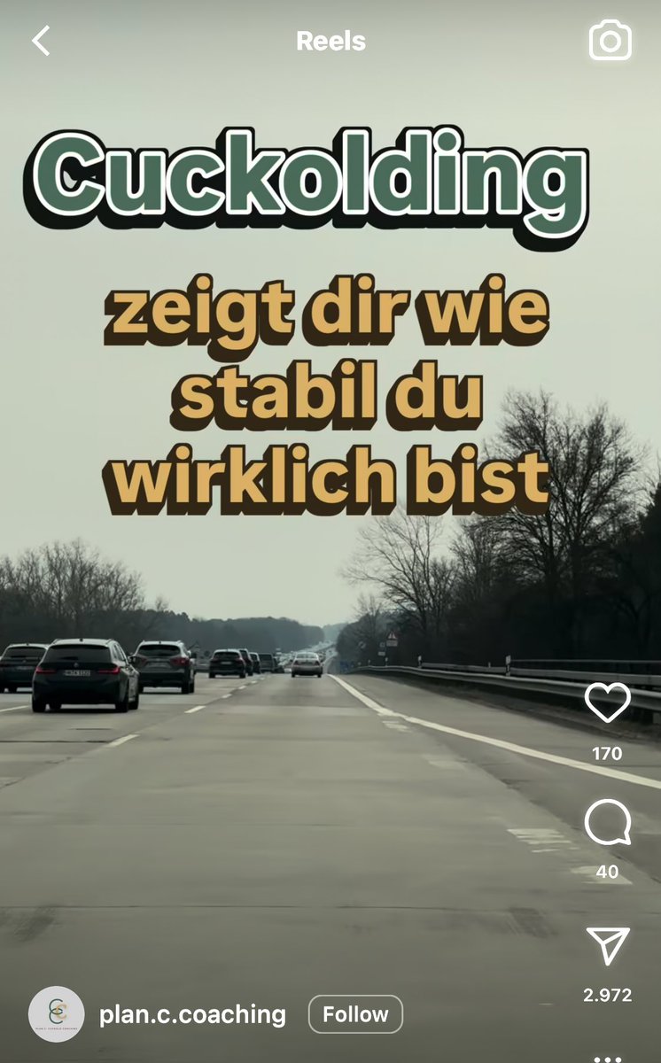 wilmazolam tweet media