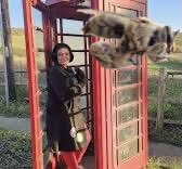 Aladforallseasons tweet media