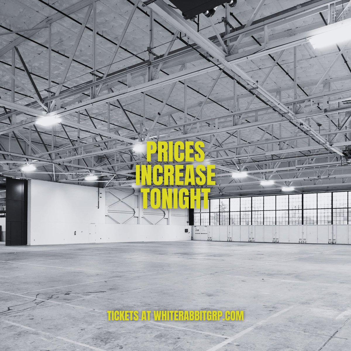 White Rabbit Group 🐰 tweet media