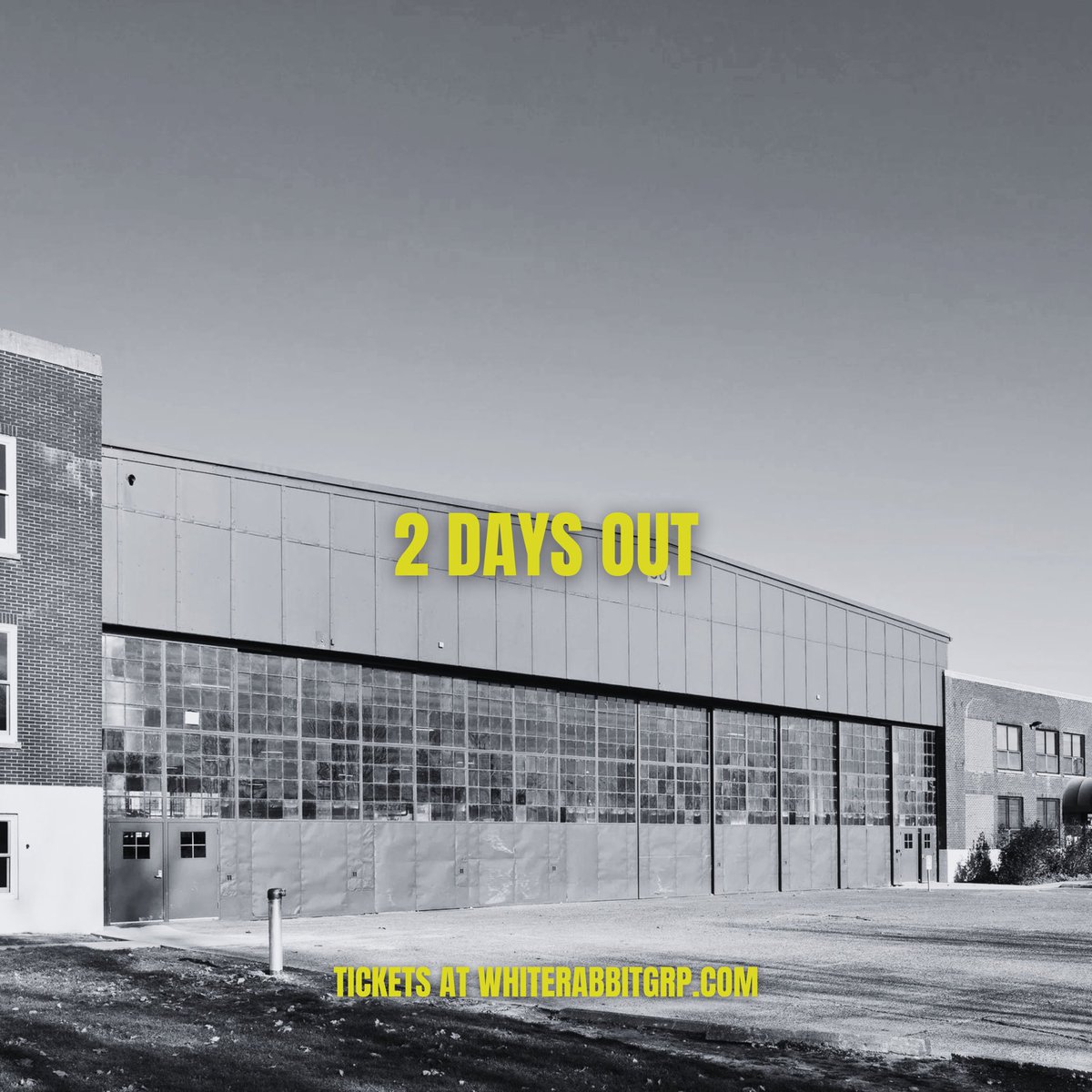 White Rabbit Group 🐰 tweet media