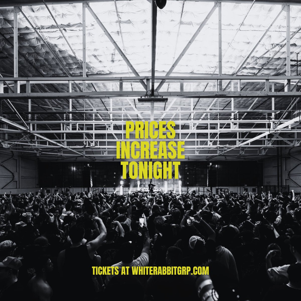 White Rabbit Group 🐰 tweet media