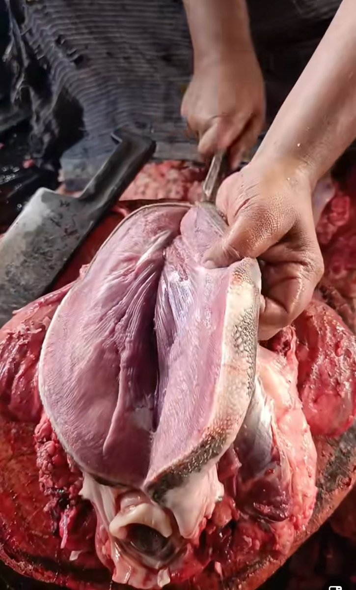 If you know you know