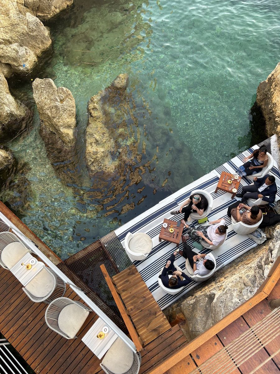 p˚୨୧⋆。🐈˚ ⋆ tweet media