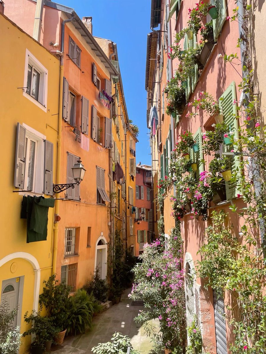 p˚୨୧⋆。🐈˚ ⋆ tweet media