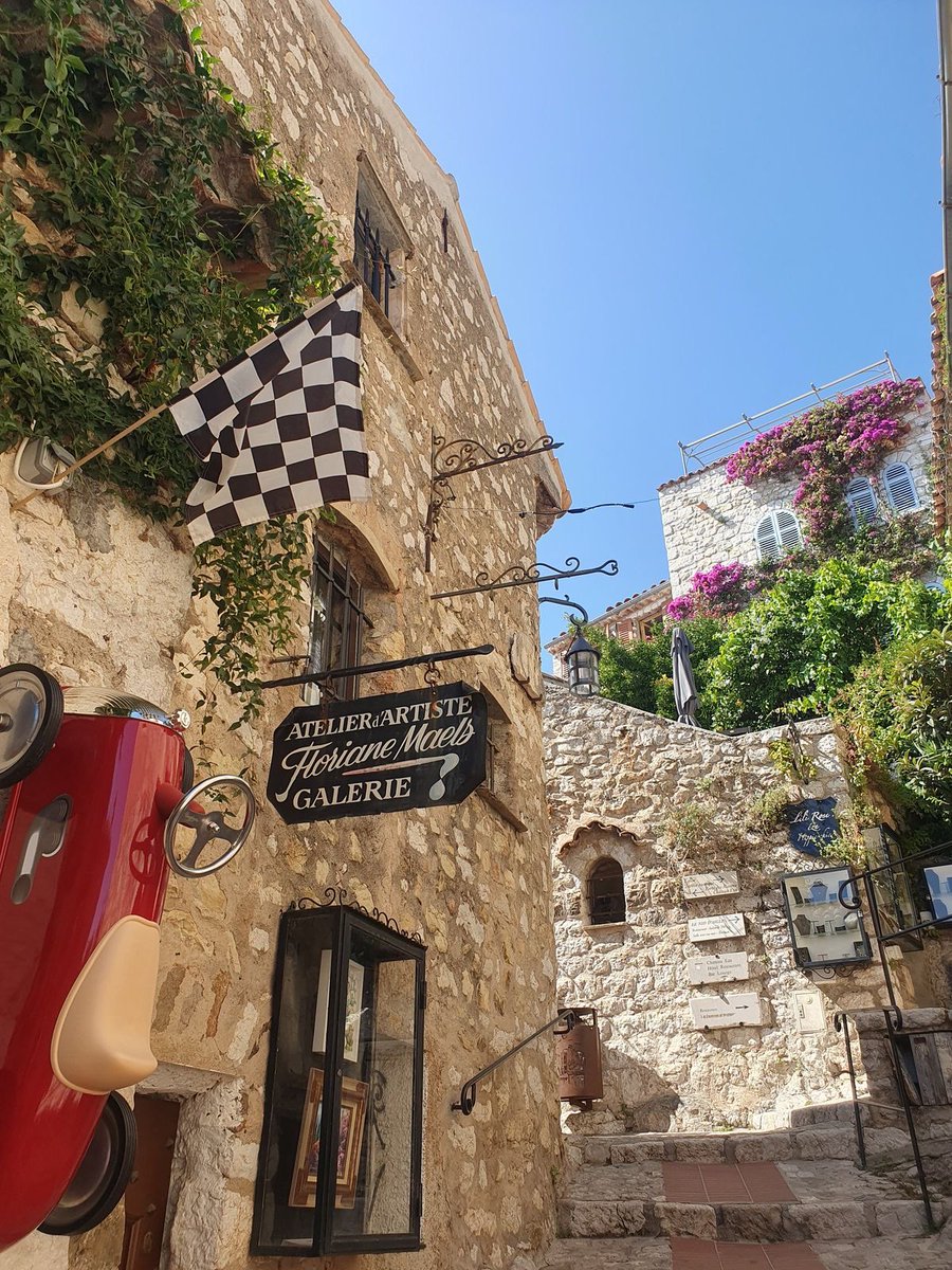 p˚୨୧⋆。🐈˚ ⋆ tweet media