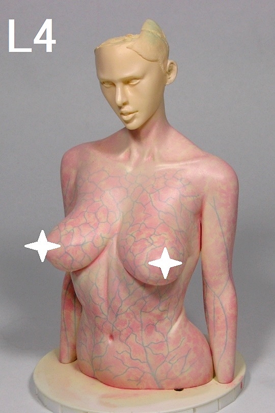 akaihoshi2004 tweet media