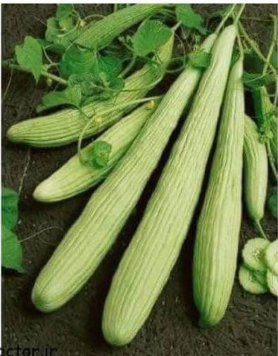 Ahmad F Samin tweet media