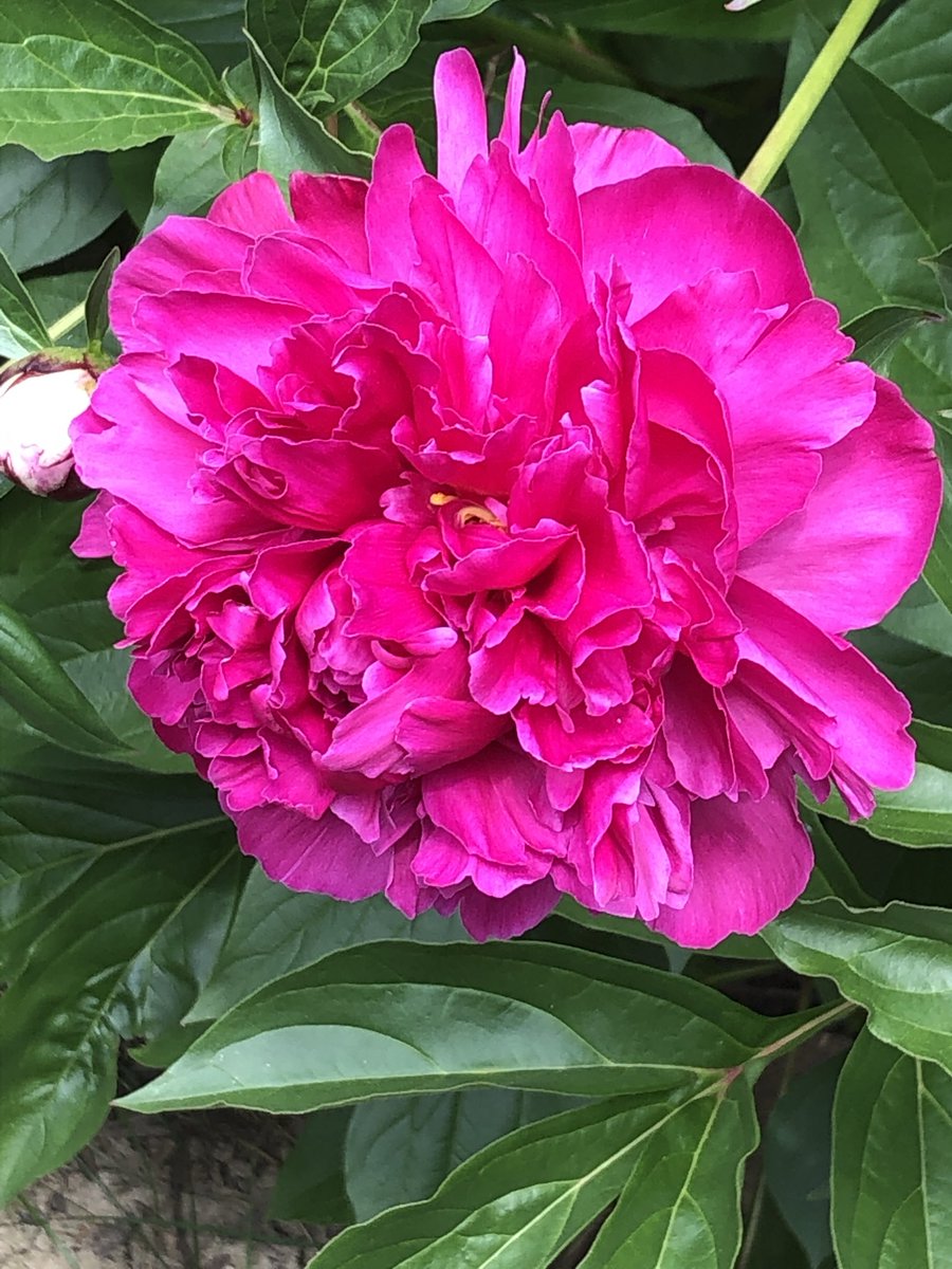 Kevin F. Seiger-Cottoms tweet media