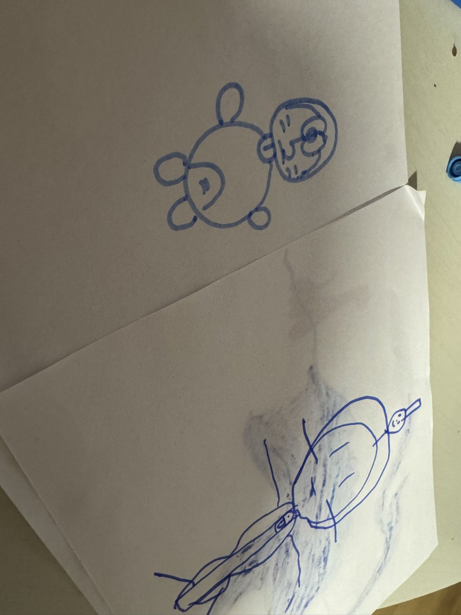 まりも tweet media