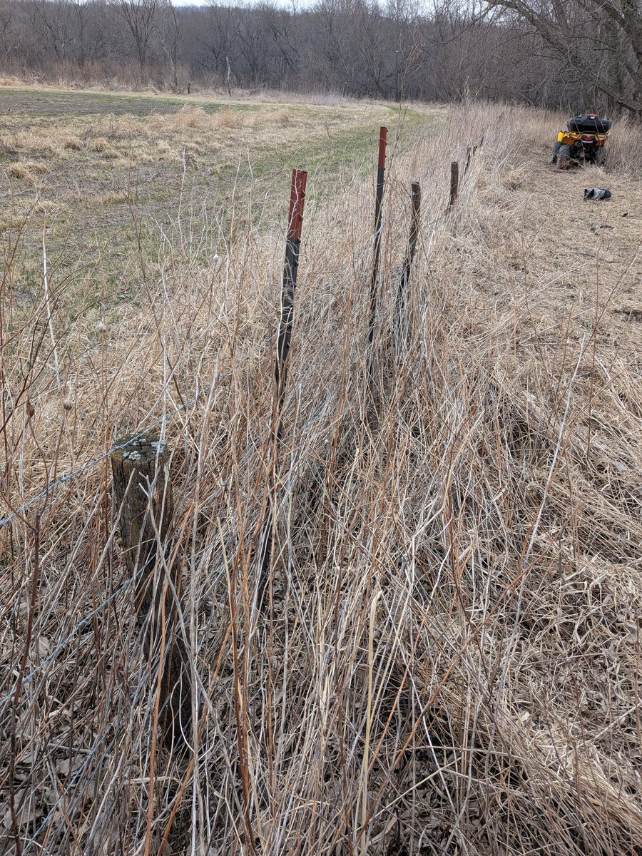 Mr. Taylor tweet media