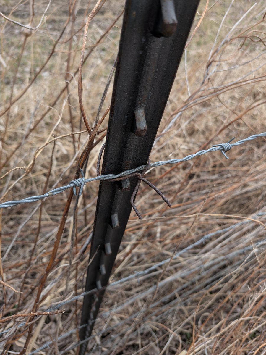 Mr. Taylor tweet media