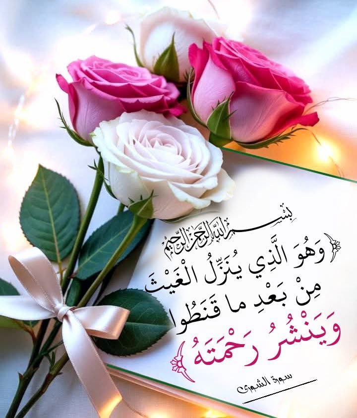 هدى المطيري.💭🌹 (@mlllllm88) on Twitter photo 