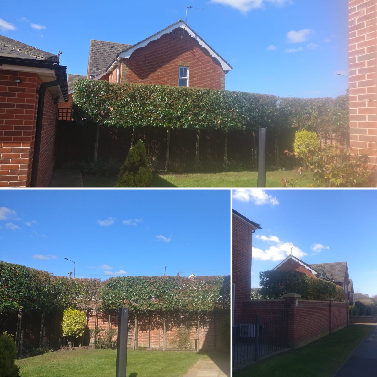 Masons Tree Surgery tweet media